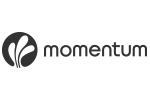 Momentum